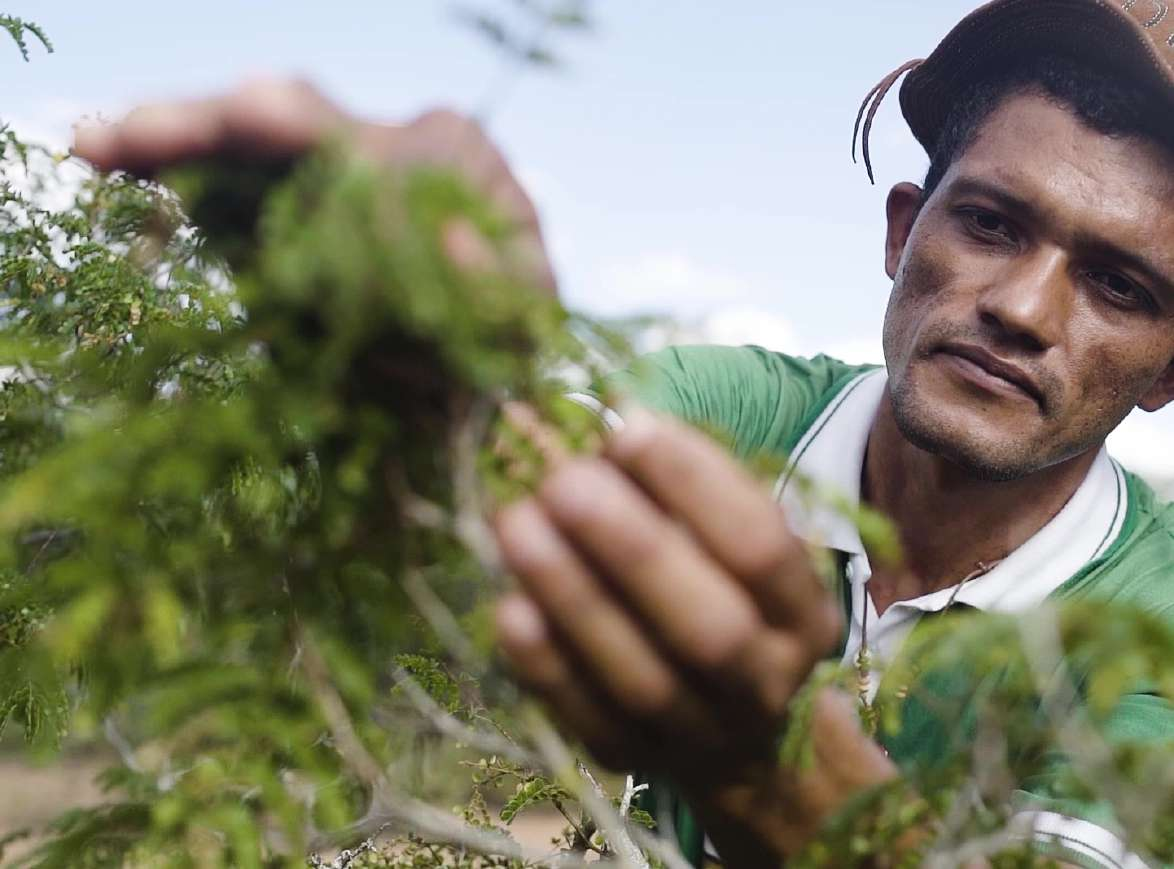 AS CINCO LINHAS DE LUTA PELA ÁGUA E SANEAMENTO BÁSICO RURAL APROPRIADO
